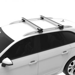 VW Amarock mit Reling. (10/2022 bis ...)  - Cruz Airo Lane Fix Feet - Aluminium Dachträger für hochstehender Dachreling