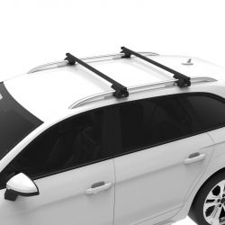 Dachträger Audi A4 Allroad (B8/B9/B9.2) - mit Dachreling) (2009 bis 2016 - 2016 bis 2019 - 2019 bis ... ) -Cruz Lane Fix Feet - Dachträger für hochstehender Dachreling